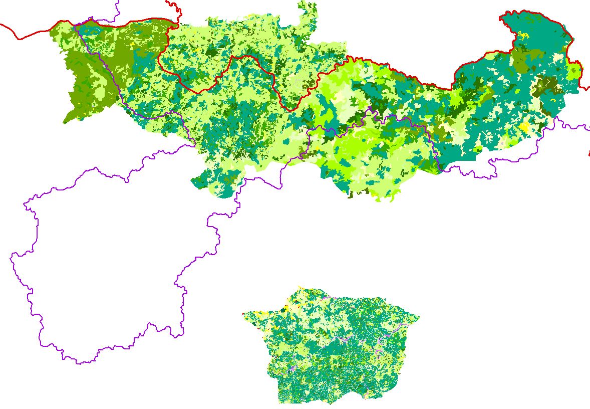 overview