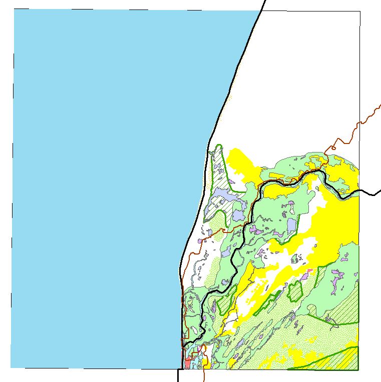 overview