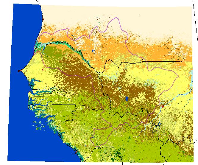 overview