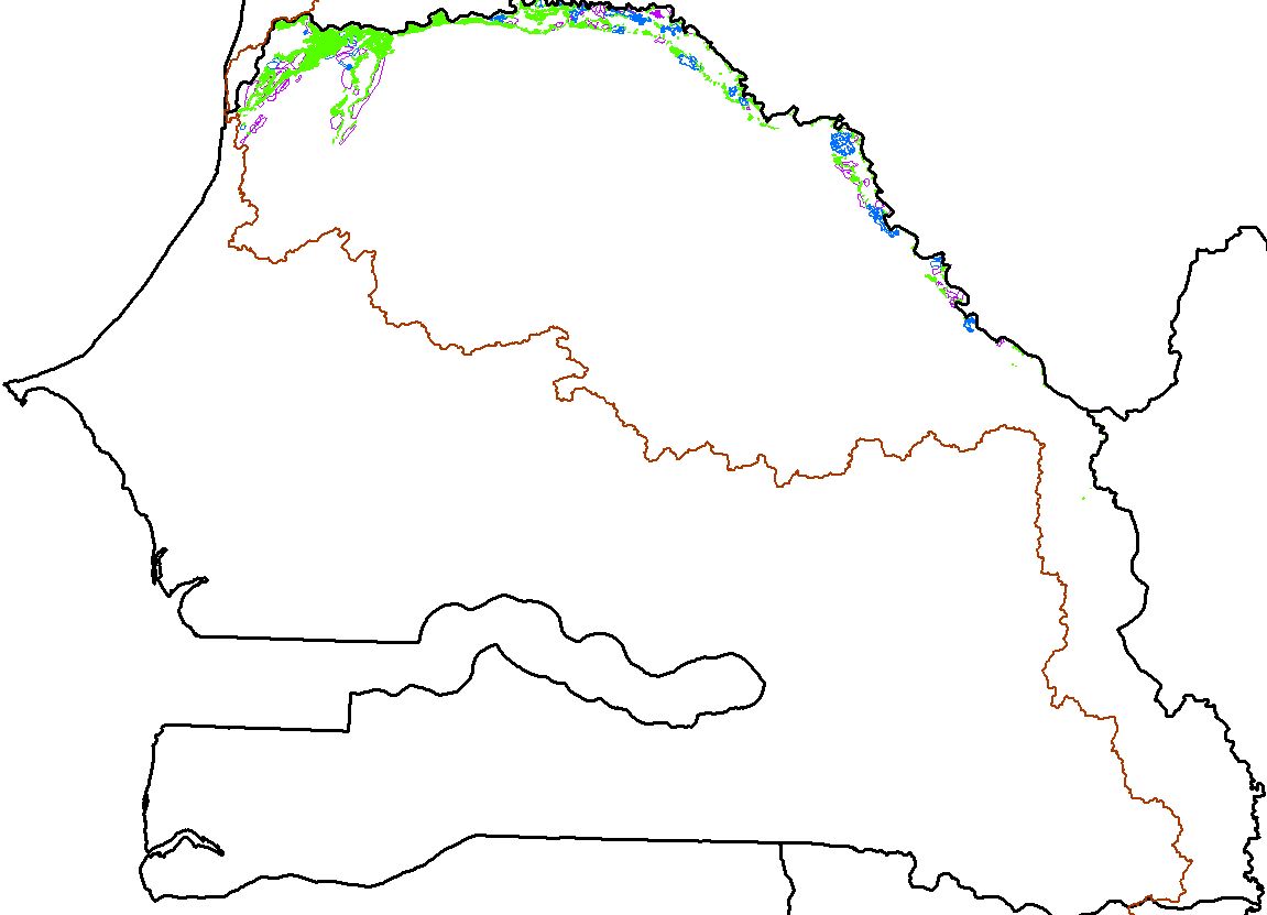 overview